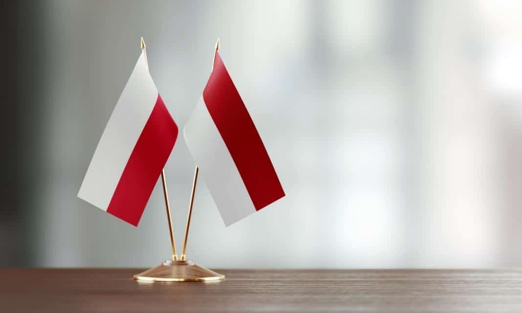 Nowy Sącz uroczyście hucznie obchodzi Dzień Flagi Rzeczypospolitej Polskiej! W jaki sposób uczcić tę wyjątkową okazję?