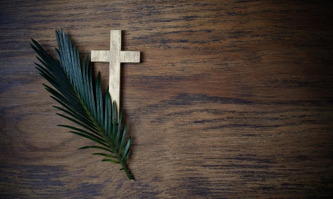 Uroczyste Obchody Niedzieli Palmowej w Nowym Sączu